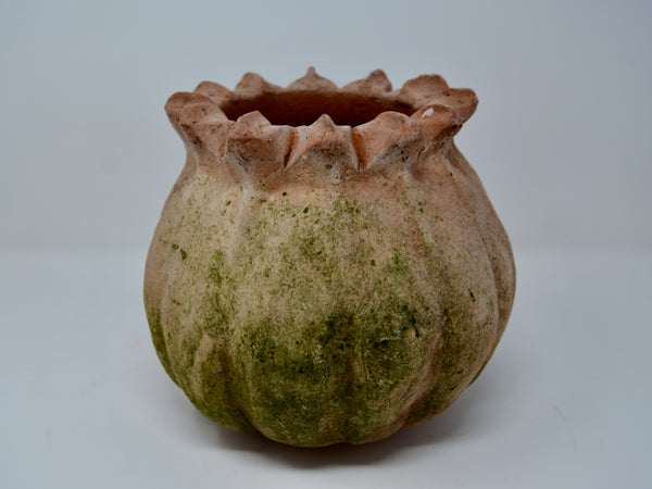 Medium Poppy Planter