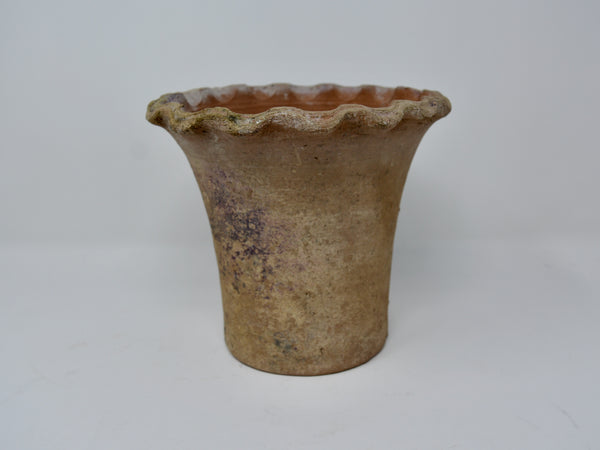 Pie Crust Planter