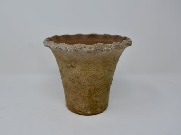 Pie Crust Planter