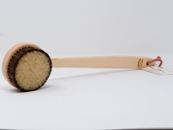 Long Handle Body Brush