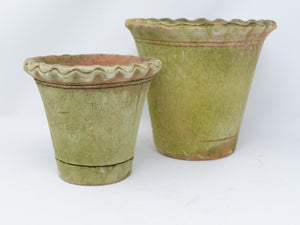 Pie Crust Nursery Short planter