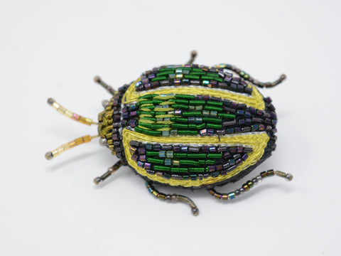Tortoise Beetle Brooch