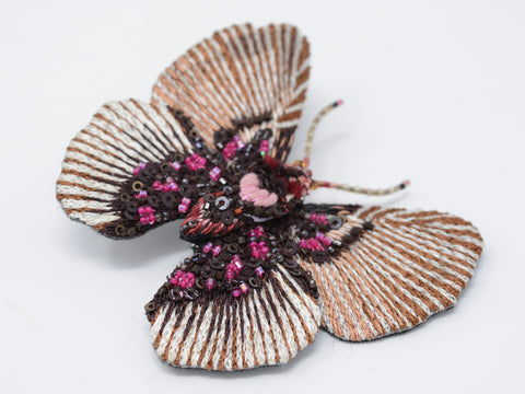 Variable Falso Acraea Butterfly Brooch