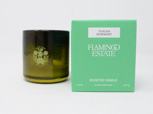 Climbing Tucson Rosemary