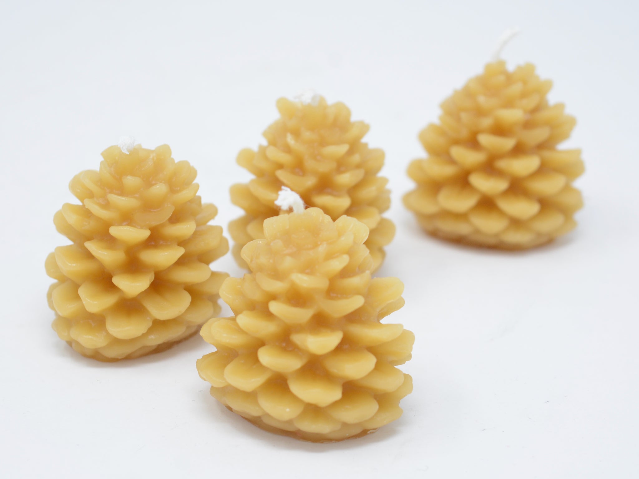 Wee Pine Cones