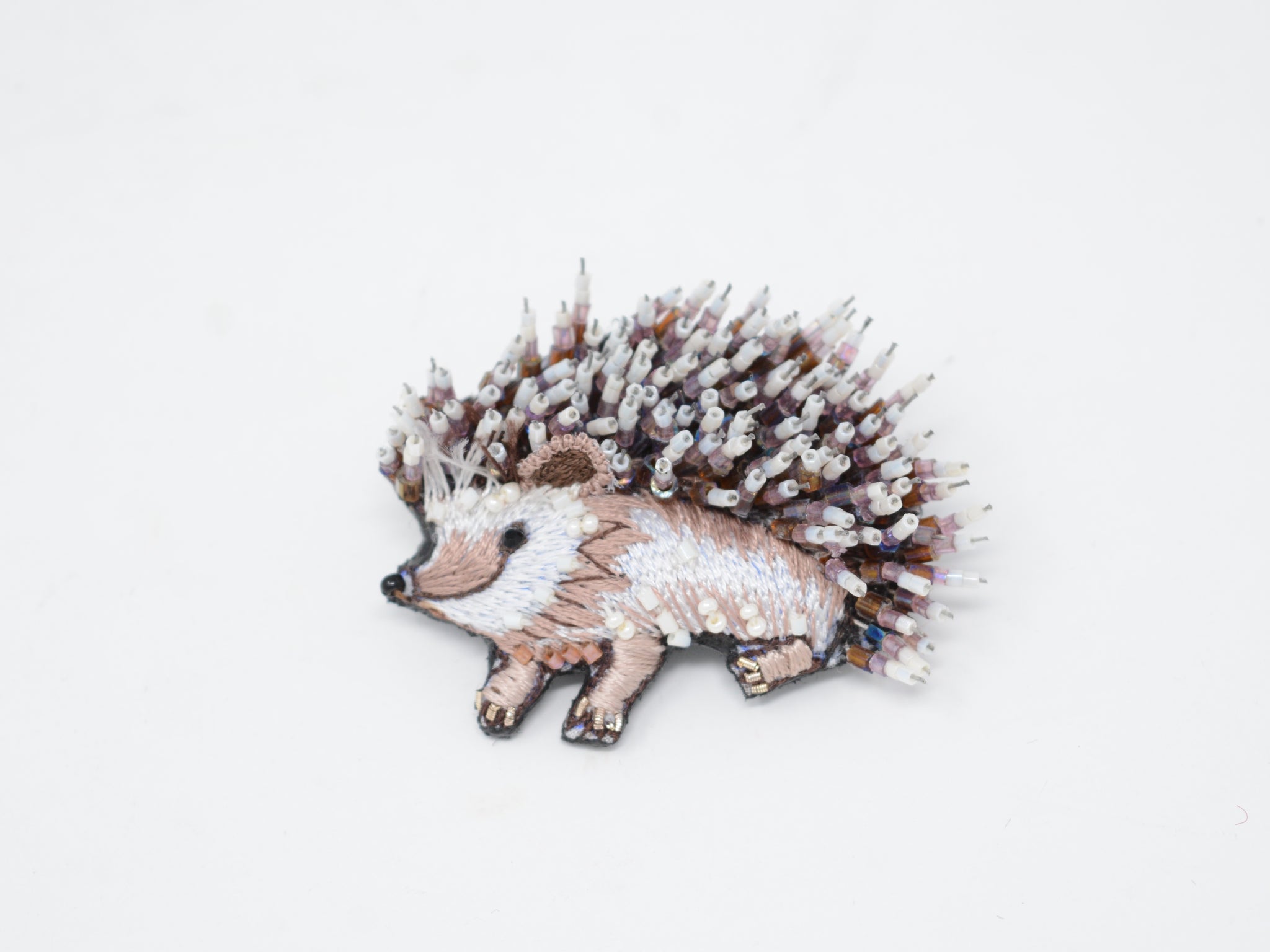 White Breasted Hedgehog