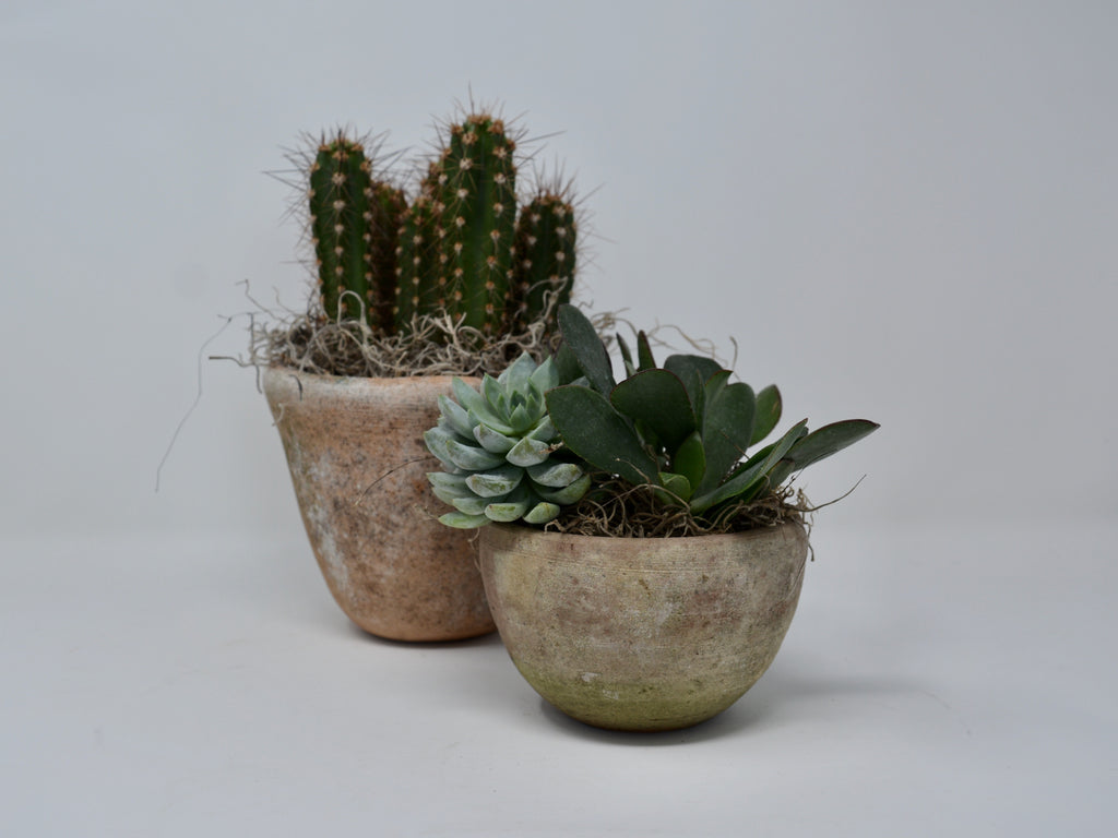 AGED CRUCIBLE PLANTERS