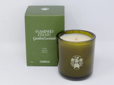 Olive Tree Candle