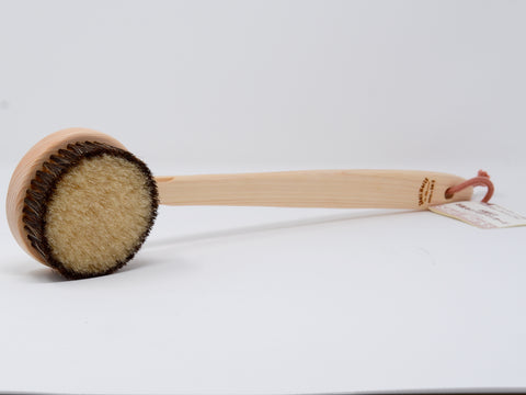 Long Handle Body Brush